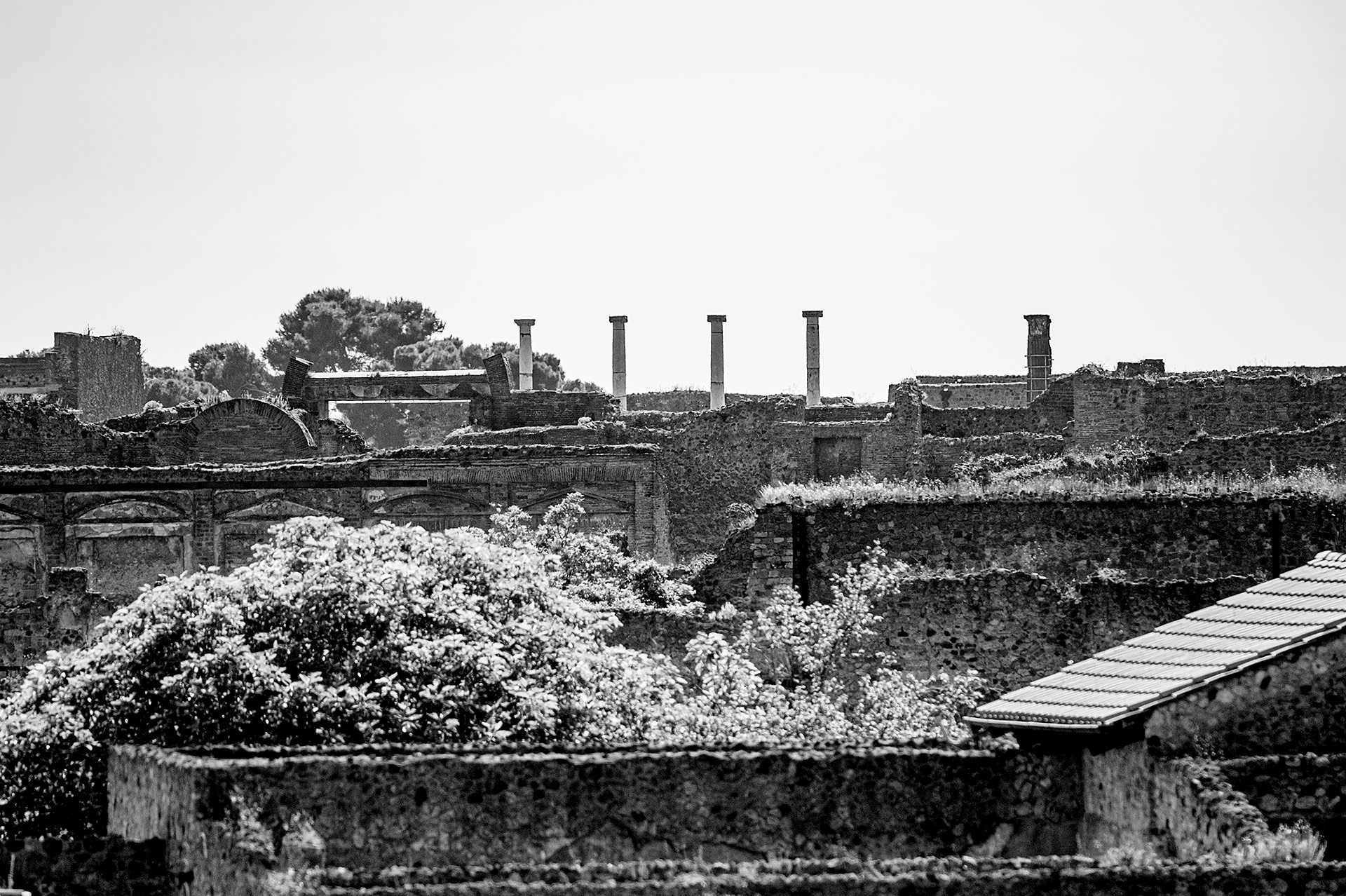 foto di �Stefano Gruppo