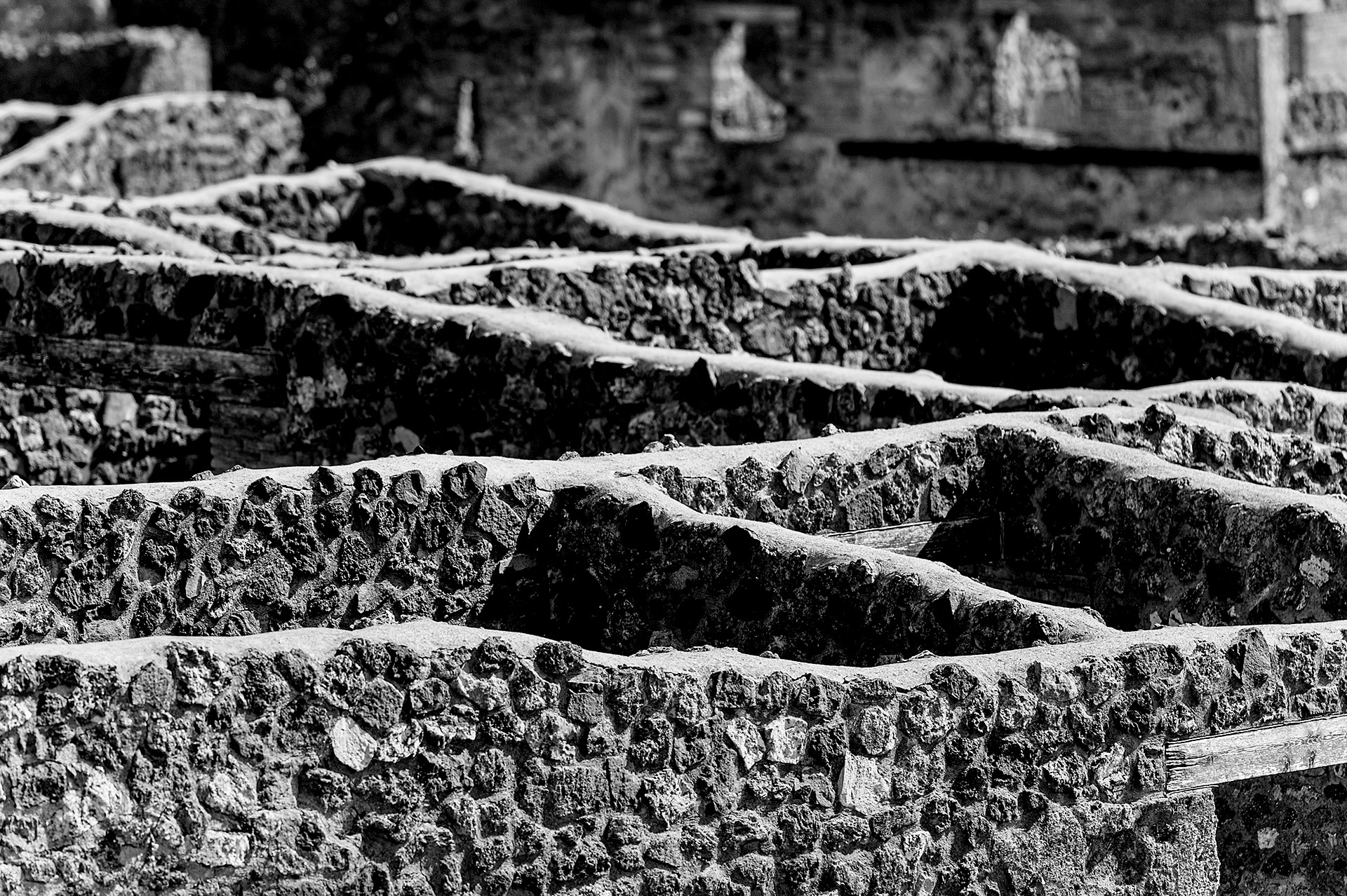 foto di �Stefano Gruppo